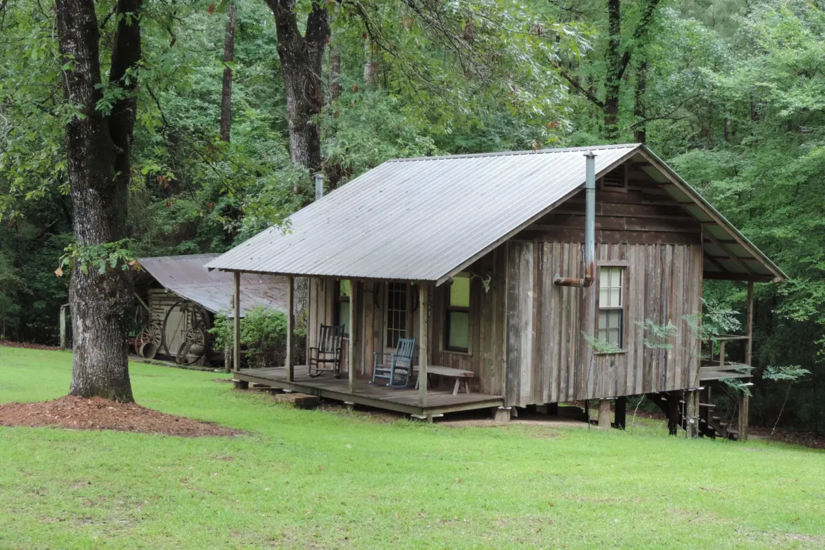 Cabane en bois rustique avec terrasse en pleine nature, entourée d'arbres verts, idéale pour un séjour écologique et déconnecté.